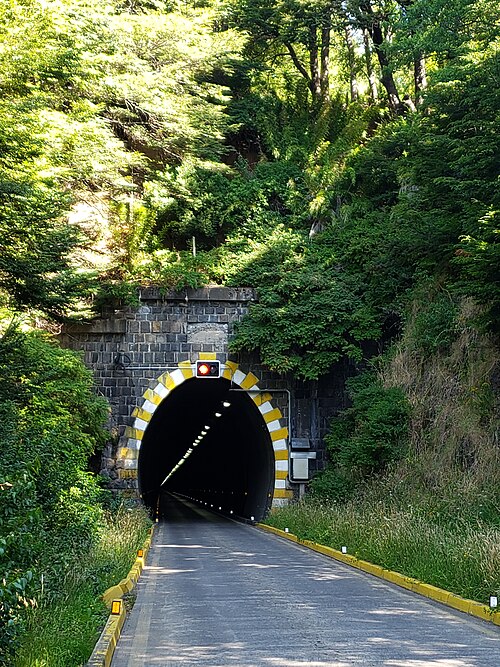 Tunel_Las_Raices
