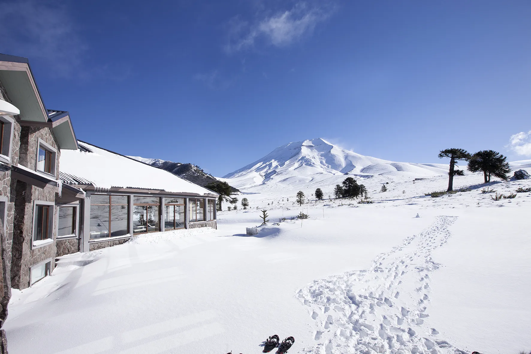 corralco-divulgacao-